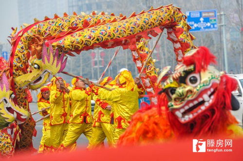 滕州2020春节竟然这么多活动过完年还有时间地点内容都在这