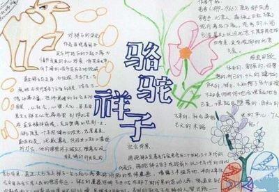 如何做最好看的骆驼祥子的手抄报