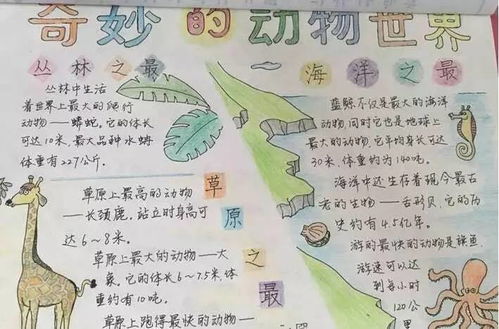 孩子不爱做暑期作业这份作业吸引了市北4万余学子参与