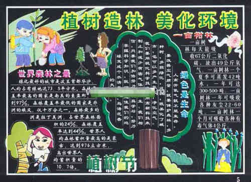 植树节手抄报世界森林之最