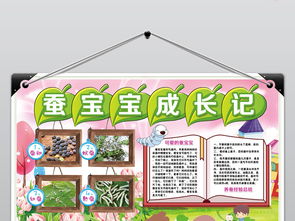 养蚕小报蚕宝宝成长记动物观察日记手抄小报素材图片psd模板下载148.91mb爱护动植物手抄报大全环保手抄报